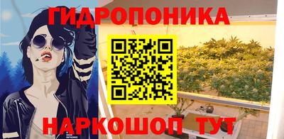 дживик Кингисепп