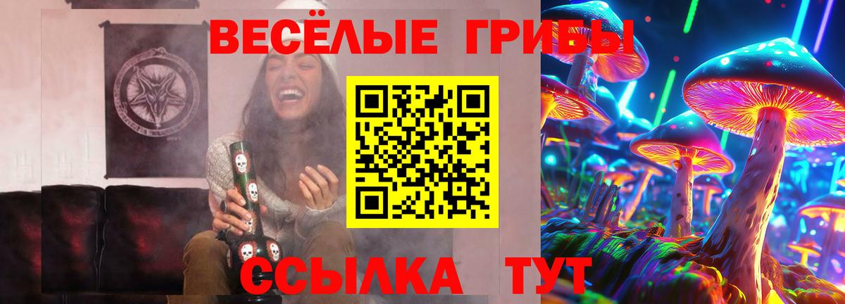 Псилоцибиновые грибы Cubensis  Псилоцибиновые грибы мицелий  Вход с VPN  Кстово 
